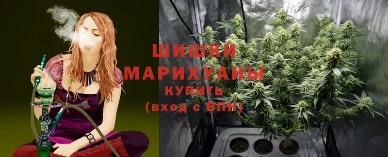 Бошки марихуана Bruce Banner  купить закладку  Белово 